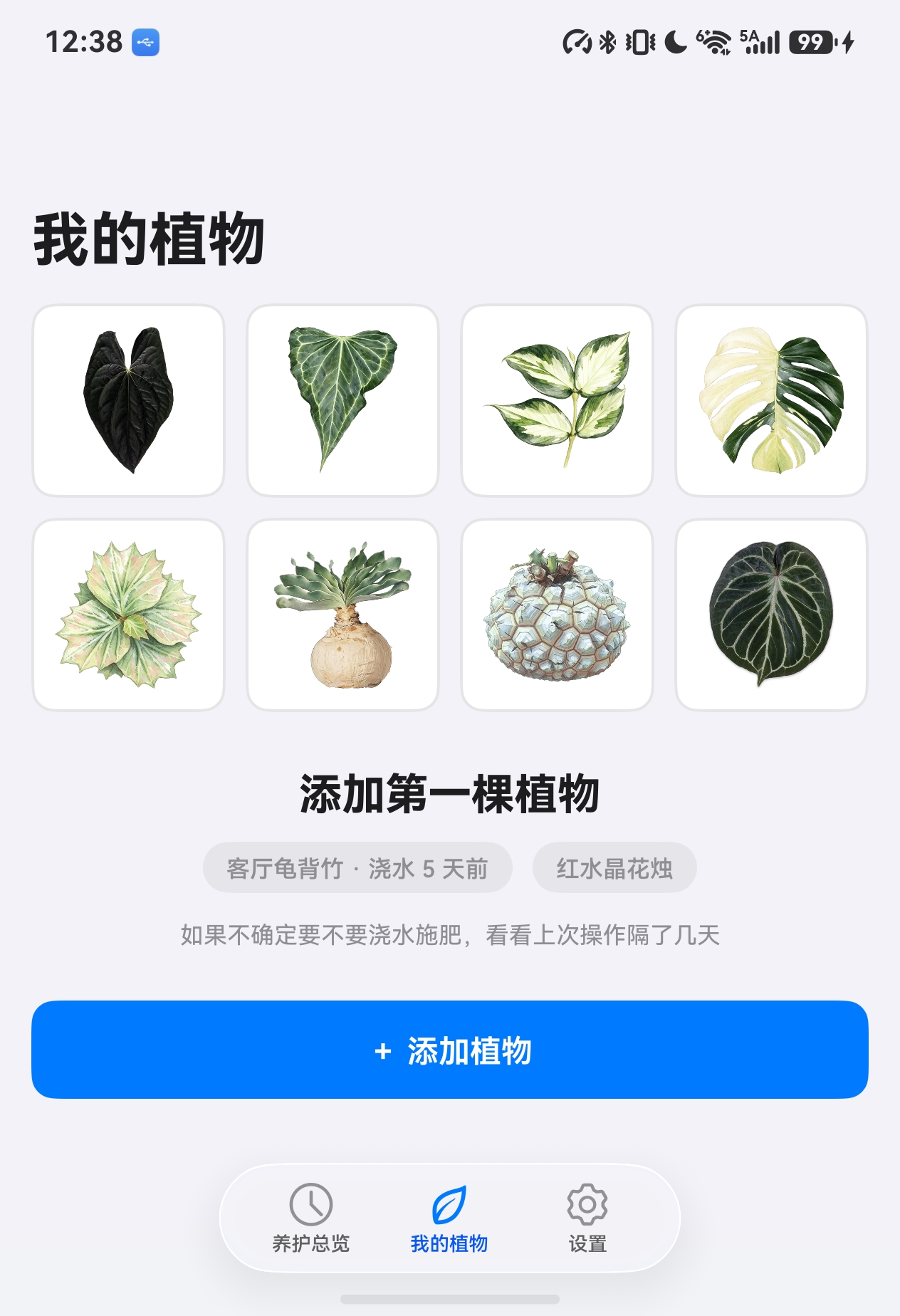 直板手机 我的植物