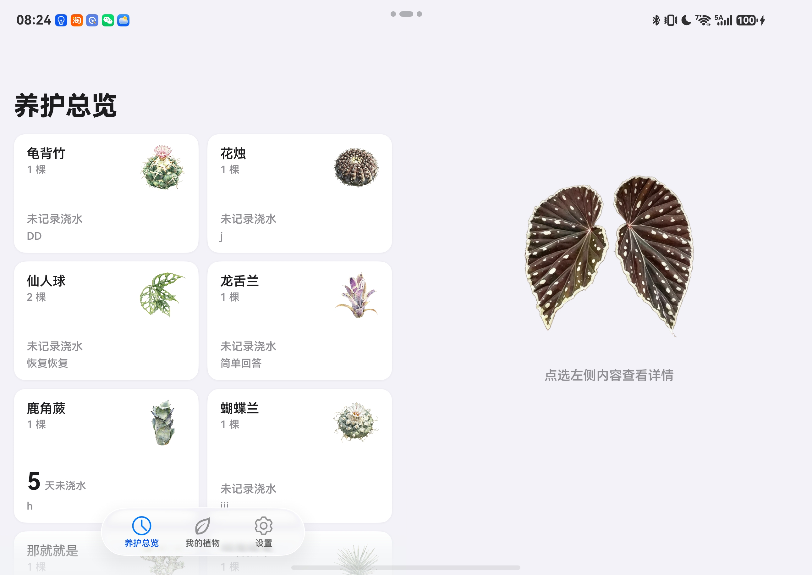 养护总览 折叠屏